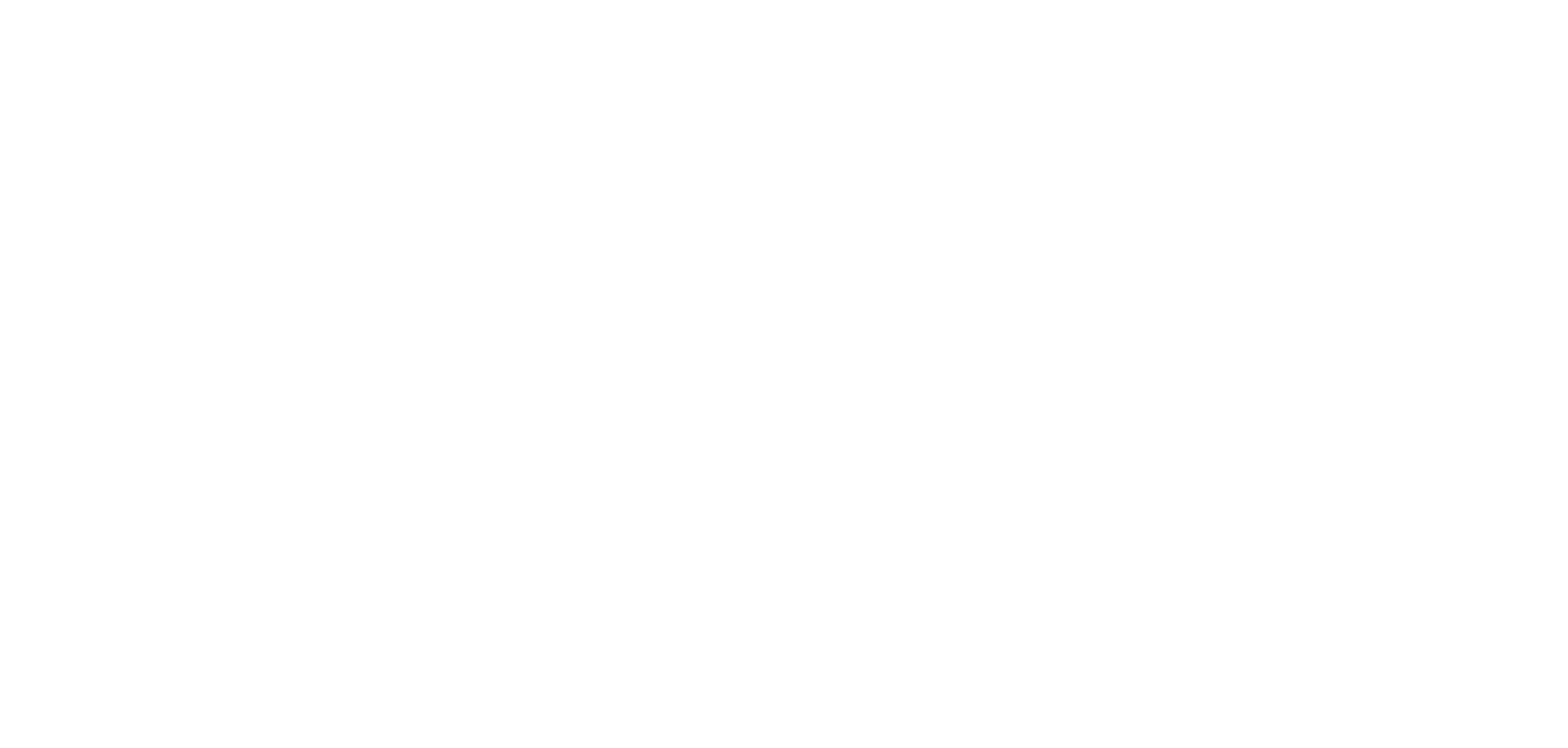 Houston_Inc_white.png
